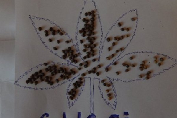 Сайт наркотиков купить
